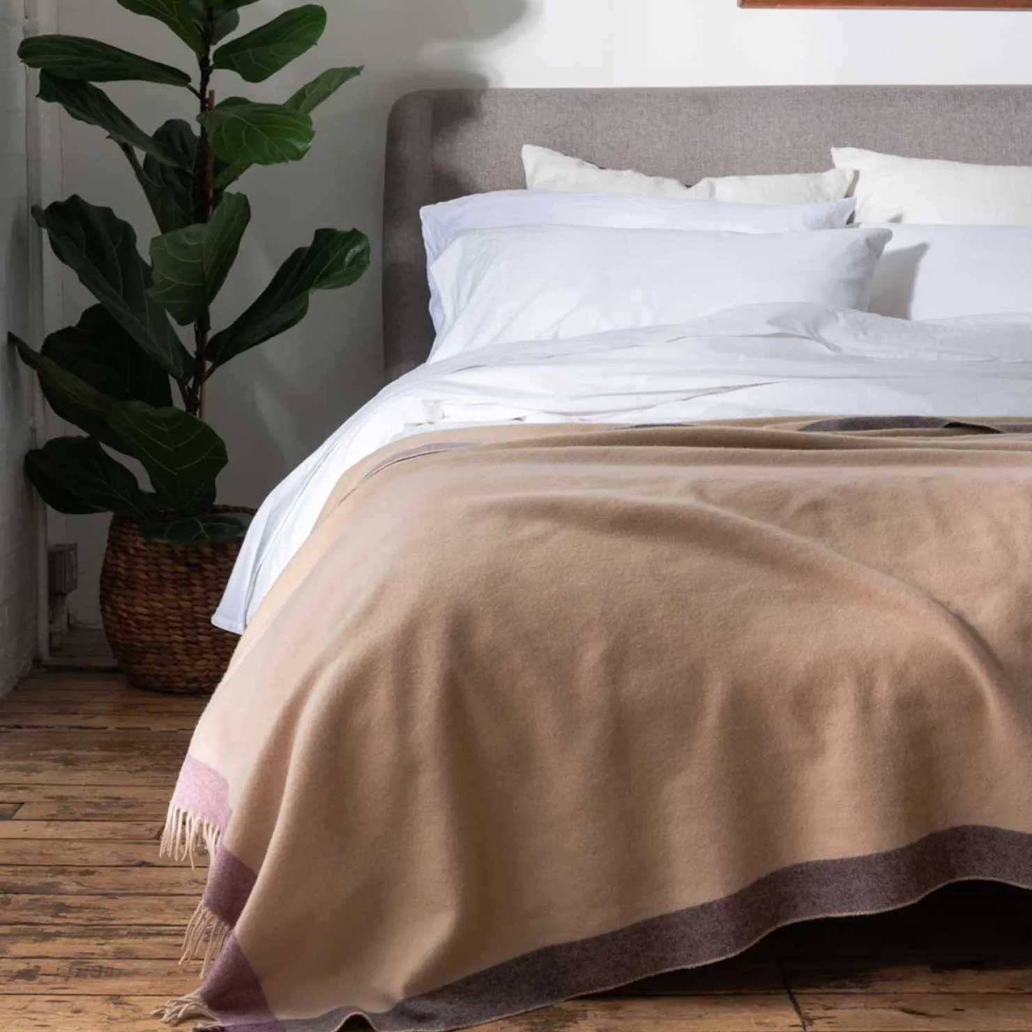 Kids Bedding|Bedding>Piglet in Bed Border Wool Blanket Moorland