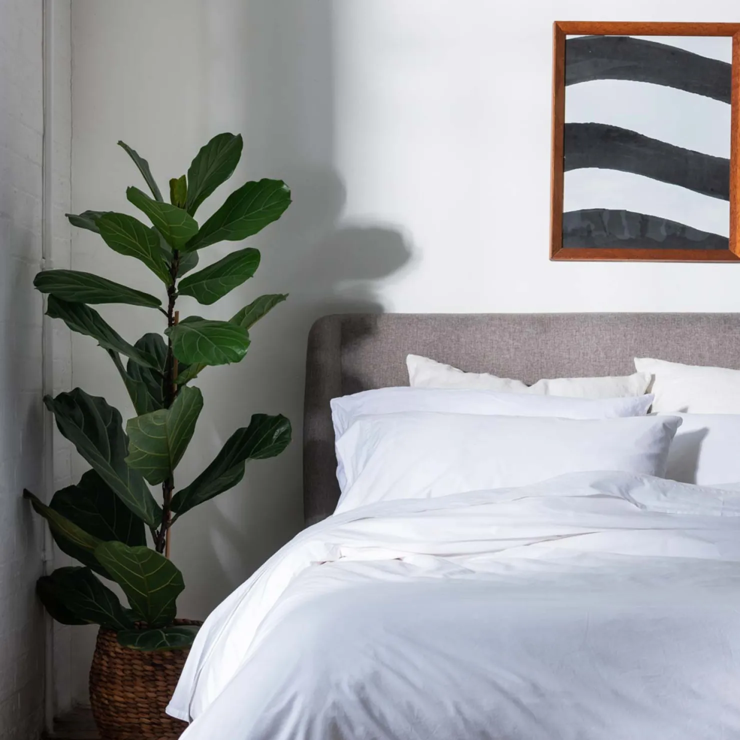 Fitted Sheets>Piglet in Bed White Washed Cotton Percale Fitted Sheet White Percale